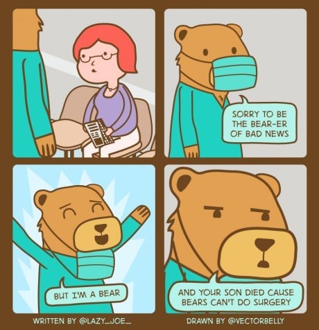 dr bear